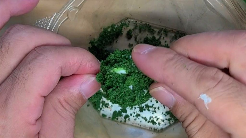 ウッディジョー1/50陽明門ジオラマ用のさつき制作で、Gクリヤーを塗った白いティッシュの土台へ手掴みで緑のフォーリッジをバンバン押し付けて盛り付ける